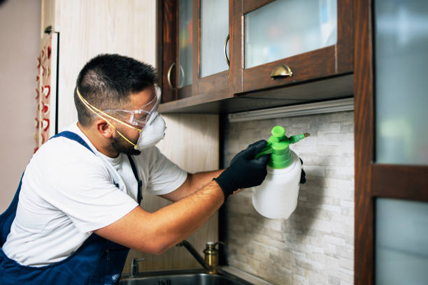 Best Mosquito Control Services  in Elizabethtown, KY