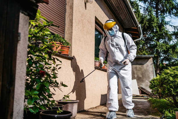 Professional Pest Control in Elizabethtown, KY