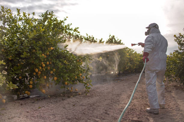 Best Mosquito Control Services  in Elizabethtown, KY